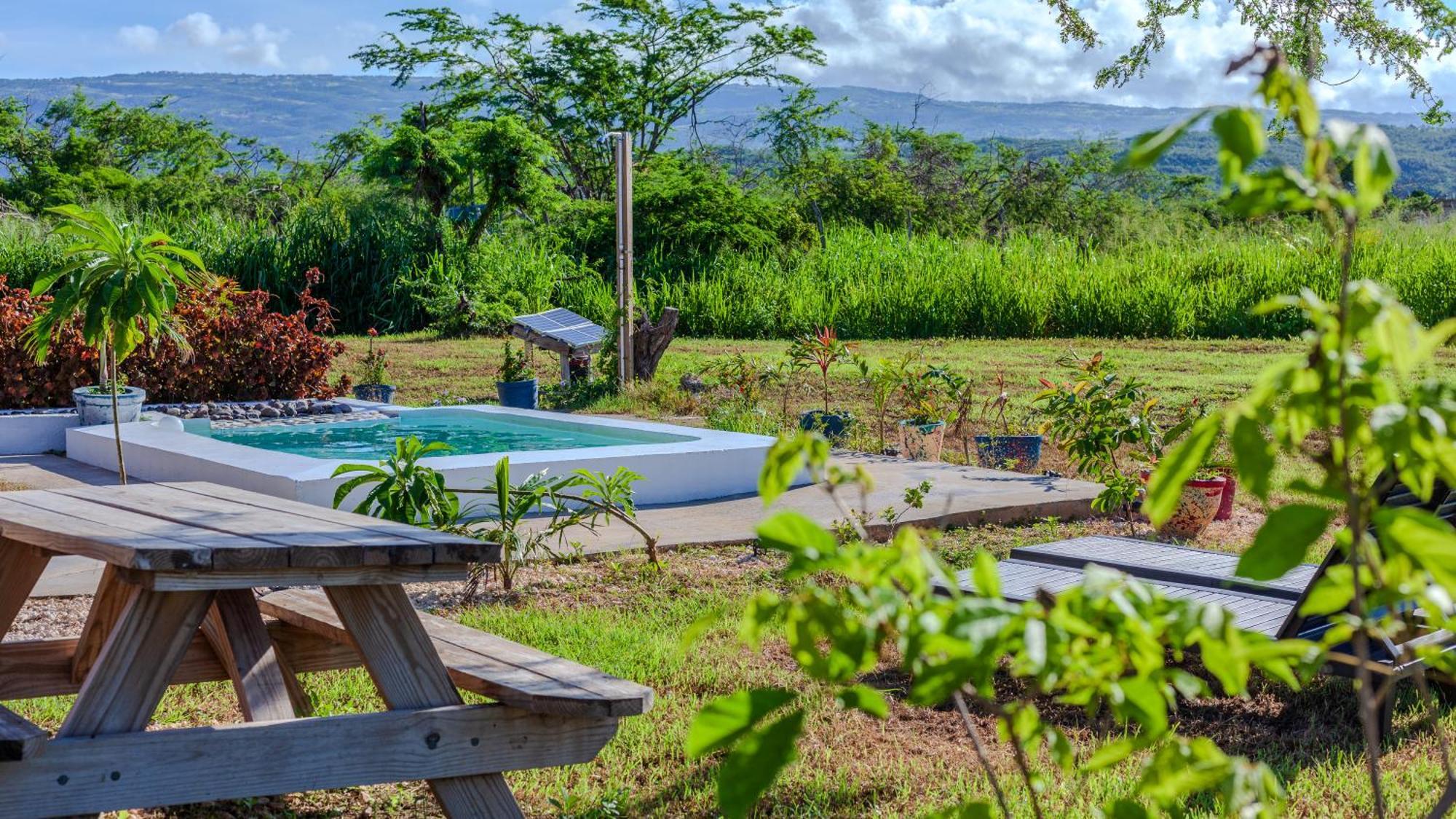Cashaw Cabin - Private Retreat With A Pool 特雷热比奇 外观 照片